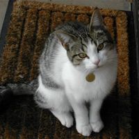 Re: Is my cat really THAT big?!