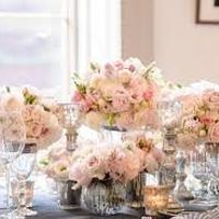 Limoncello's  Planning Thread