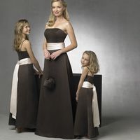 BNWT Bridesmaid Dress and Dolly Bag