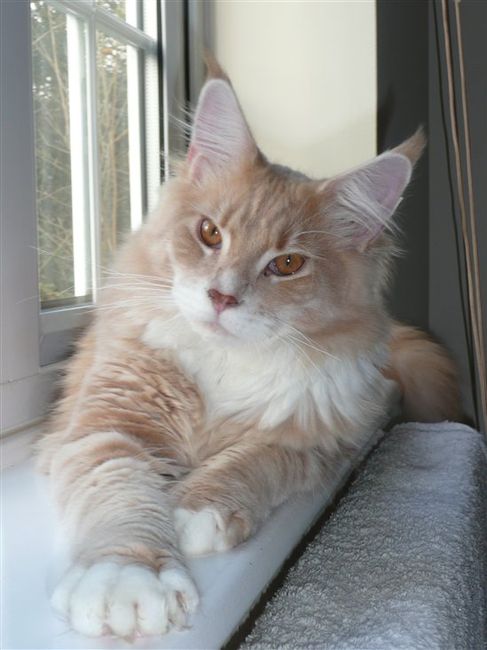 Re: The post a picture of your pet thread!