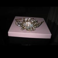 Stunning Glitzy Secrets side tiara 