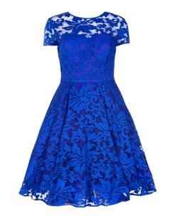 Come on Otters, twist my arm...