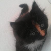 Doris is back home!! :)