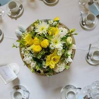 Re: Need some color scheme inspiration please