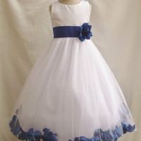 100 days to go FLASH