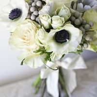 100 days to go FLASH