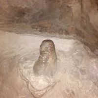 Re: Photo competition - Gratuitously amusing snaps