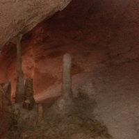 Re: Photo competition - Gratuitously amusing snaps