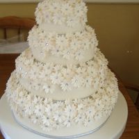 Re: One year to go today!