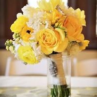 4 months to go (1st flash!)