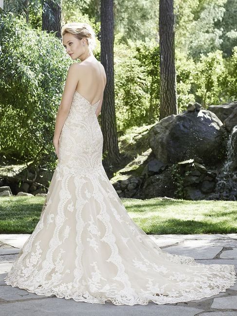 Show me your wedding dresses :) 6