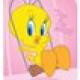 Little Miss Tweety