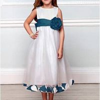 Re: Where did you get your Flower Girl dresses?