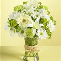 FAO flower 'experts' (that's definitely not me)