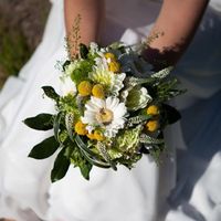 Re: My colour scheme - lemon and lime