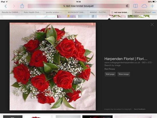 I've never done this FLASH thing before so here goes