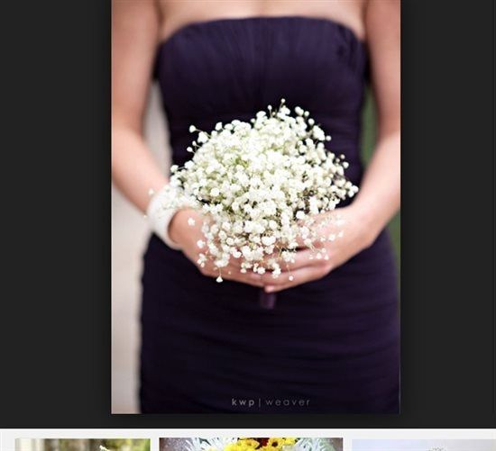 Re: I've never done this FLASH thing before so here goes