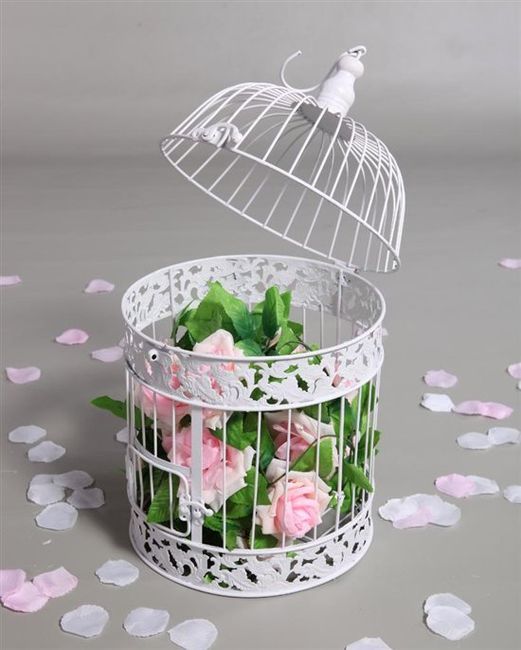 Re: Birdcages X 6 wanted for August 2011