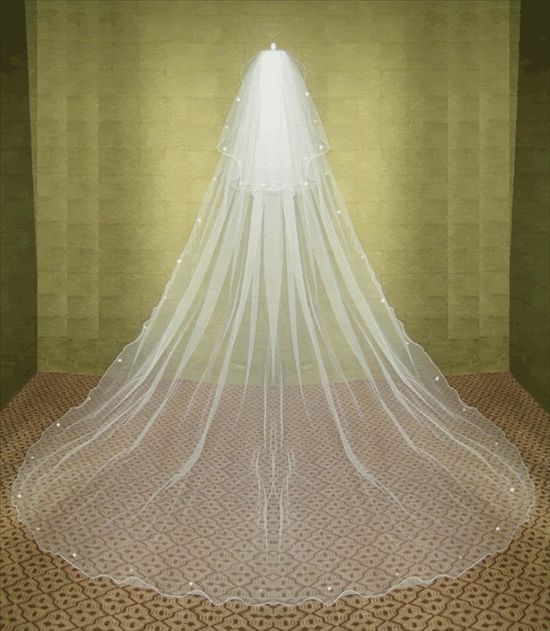 Re: Anything Vintage and a cathedral length ivory veil!