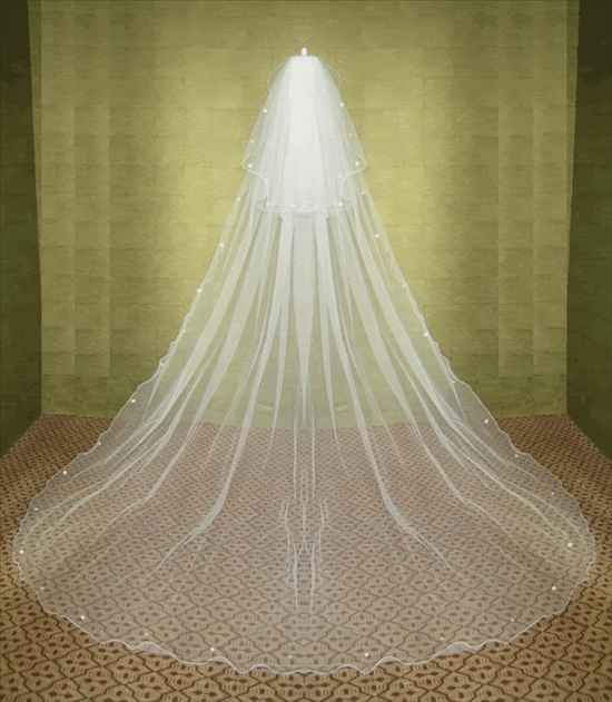 Re: Anything Vintage and a cathedral length ivory veil!