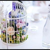 Sweetie Table Jars/bowls/tongs scoops etc £40/ 8 Vintage Birdcages  NW London/ Middlesex