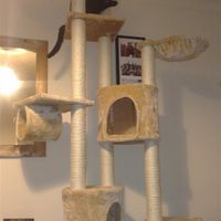 Re: What was the last photo you were sent? (Inspired by ravioliruby!)