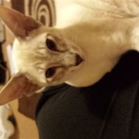 Re: Show me your pets