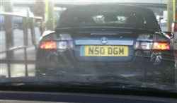 Re: Seeing otters... Specifically car registrations