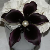 Re: Help with Flowers!!! Most likely HIBS