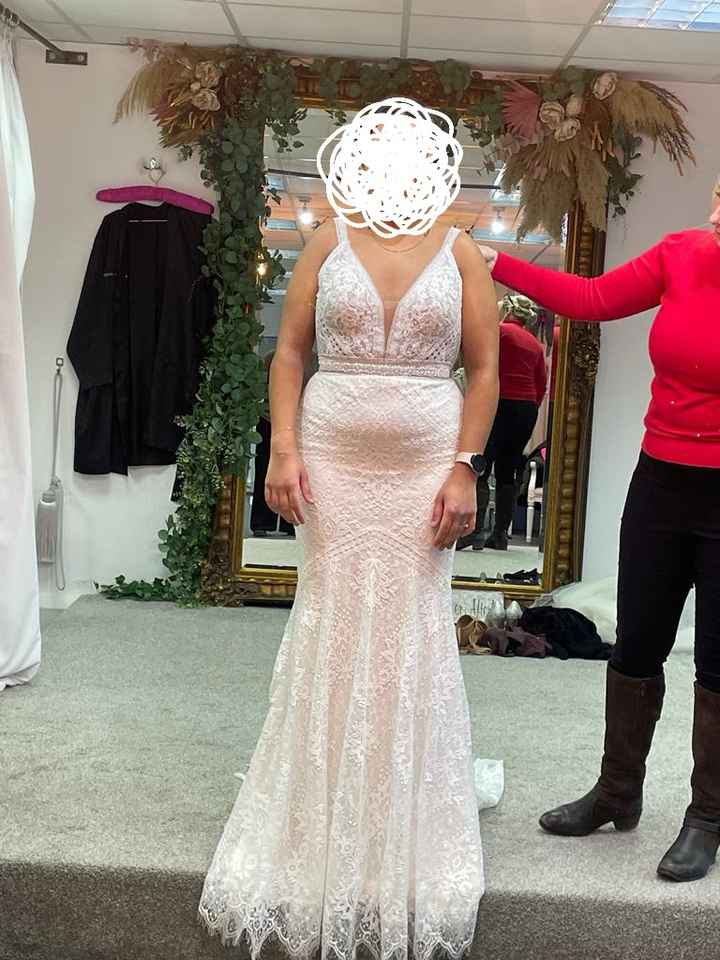 Dress alterations - the art of the possible? - 1