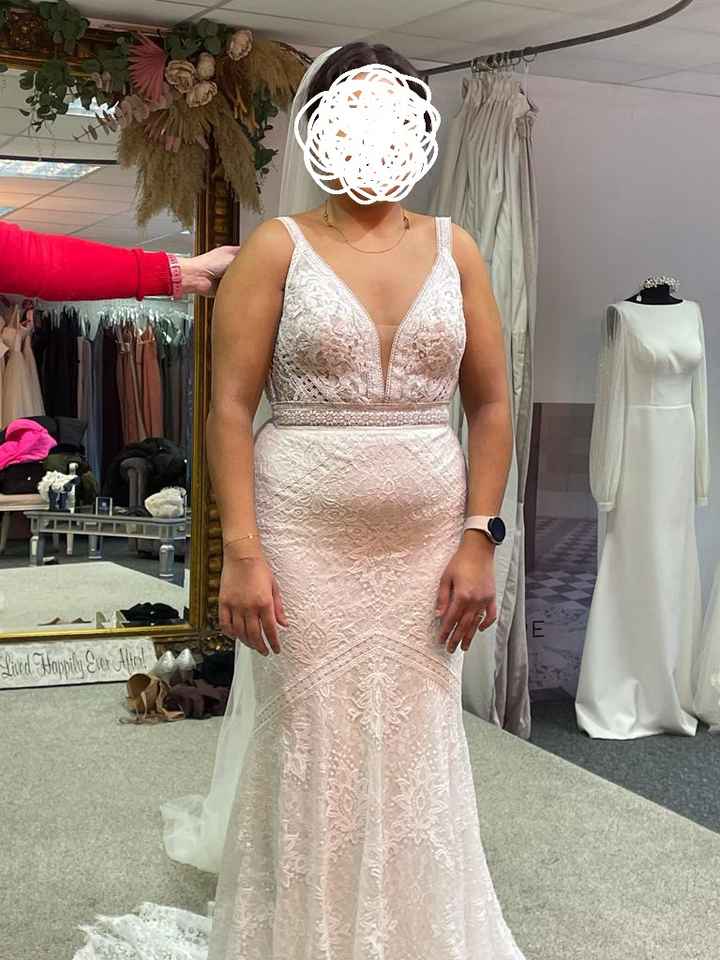 Dress alterations - the art of the possible? - 2