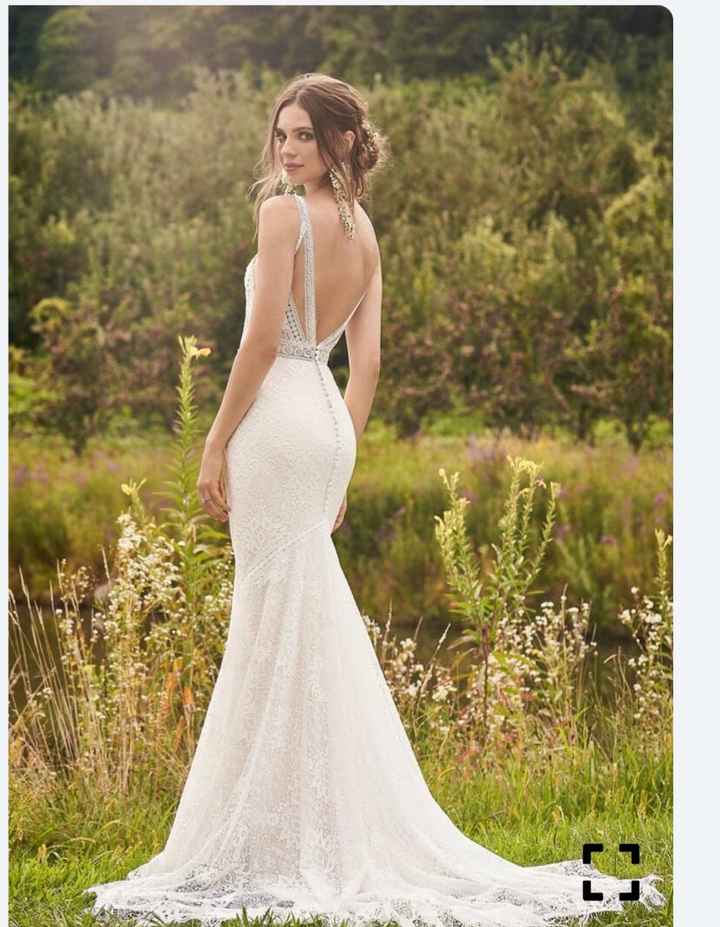 Dress alterations - the art of the possible? - 1