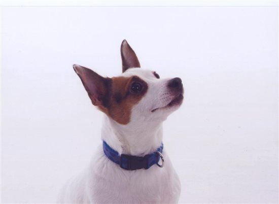 Re: DIY Favours Flash