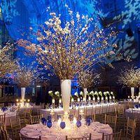 Re: My wedding planning so far............