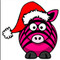 Pink Zebra