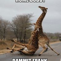 Re: Let's cheer up Twiga