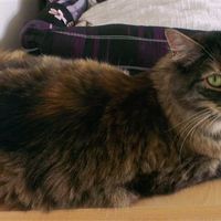 Re: Show me your pets