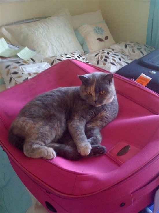 Re: Your favourite favourite picture/photograph