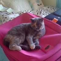 Re: Your favourite favourite picture/photograph