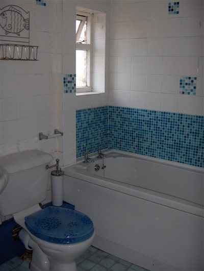Re: Another house post - flash your bathrooms please...