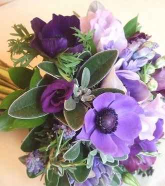 Lilac flowers - flower HIB's or flower experts knowledge appreciated 