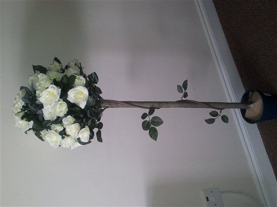 Topiary Rose Trees, Faux fur children's shrug, diamonte veil + bridesmaid dresses + more!!!