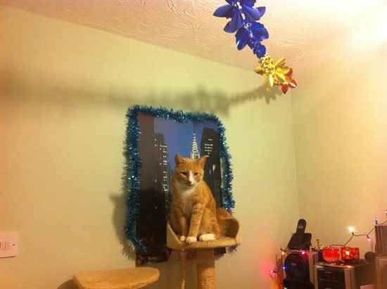 Re: ITS CHRISSSSSSSSSSSTMAS!! *Flash your festivities*