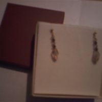 Re: Hitched Raffle - We need your votes!!