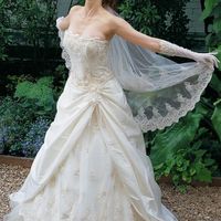 Honest adn brutal opinion please!