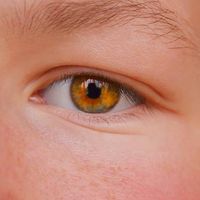 Enhancing Almond-shaped Eyes: Elegant Wedding Eyelash Tips - 1