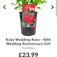 Gift for parents on the wedding day - 1