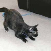 Re: Pics of Hitchers' Pets...