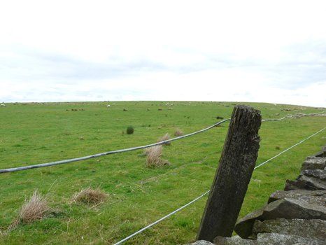 Re: I am bored - show me your venues and dresses