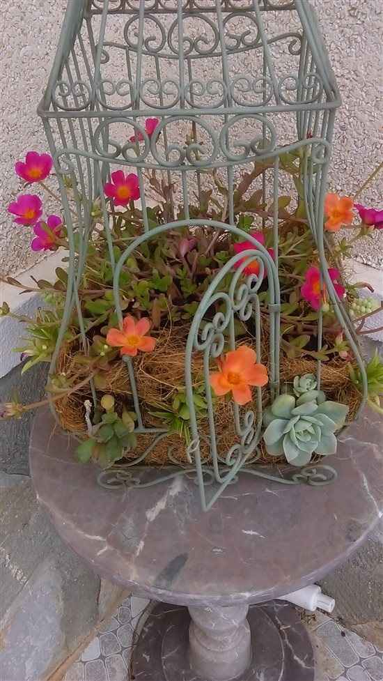 A use for old birdcages